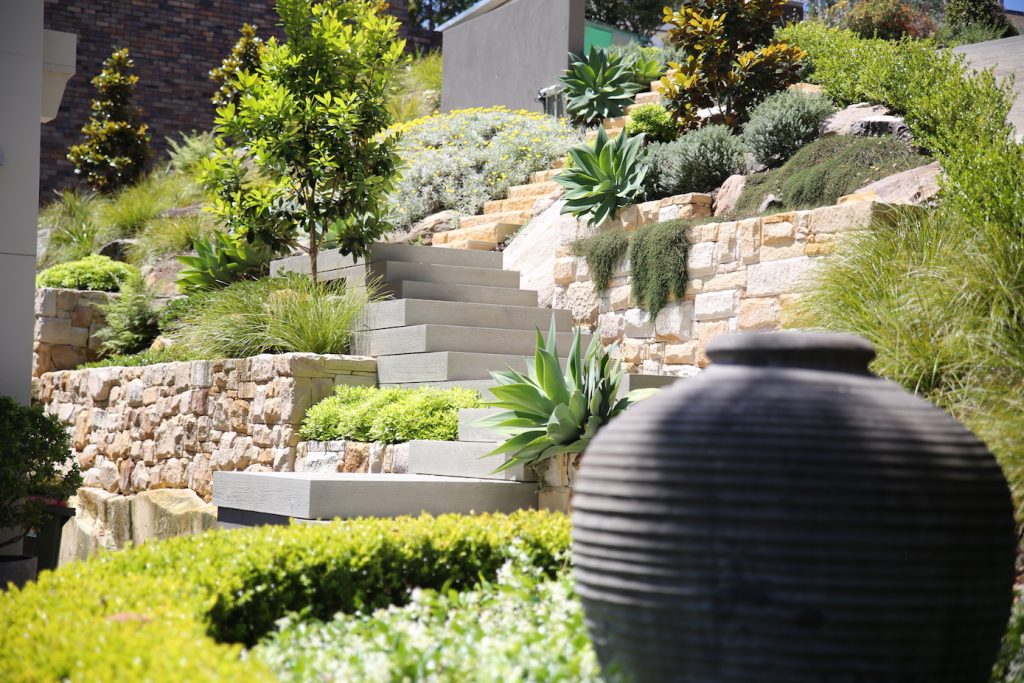Feature pot with the amazing dry stack sandstone walls in the background.